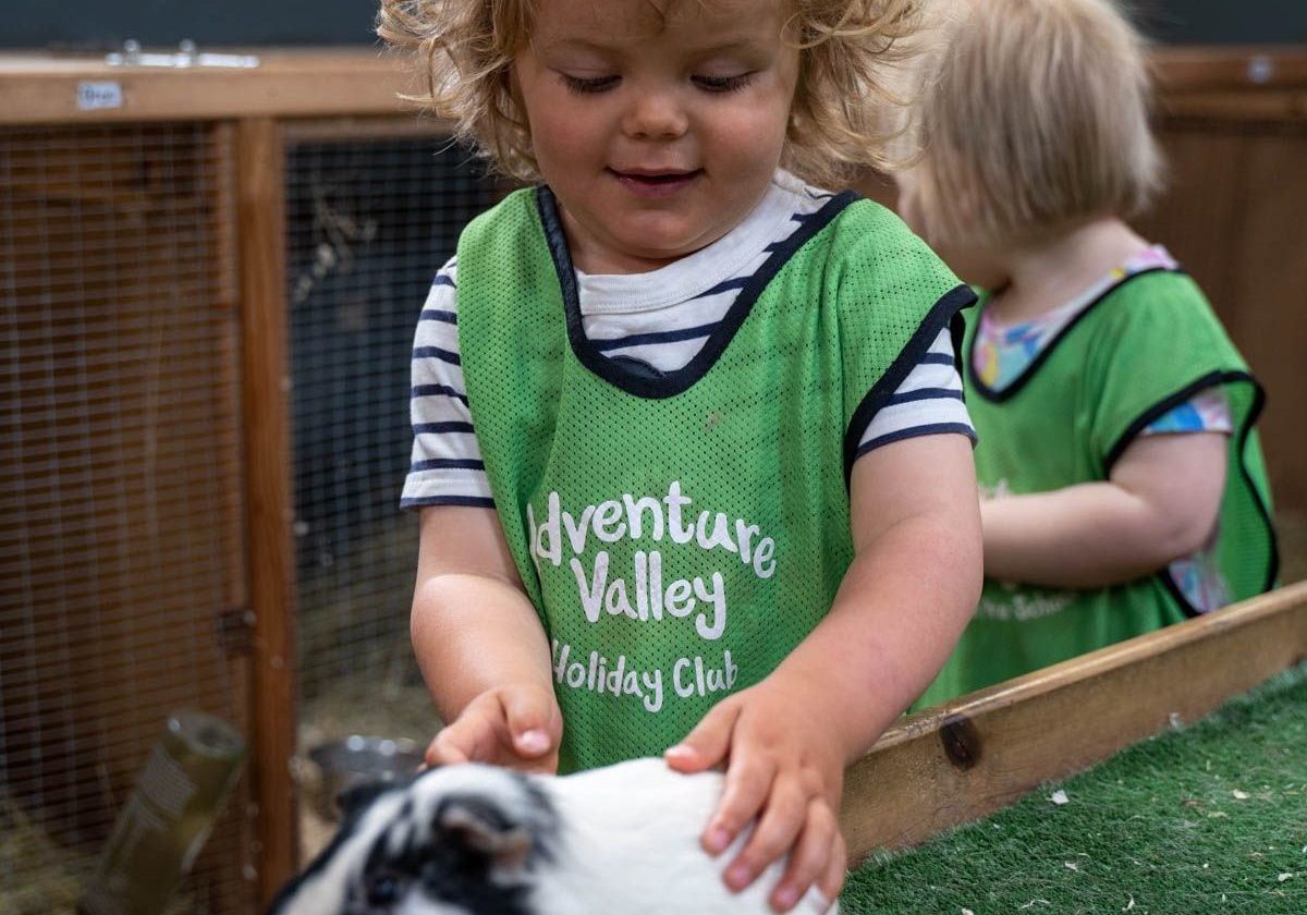 Adventure Valley Childcare