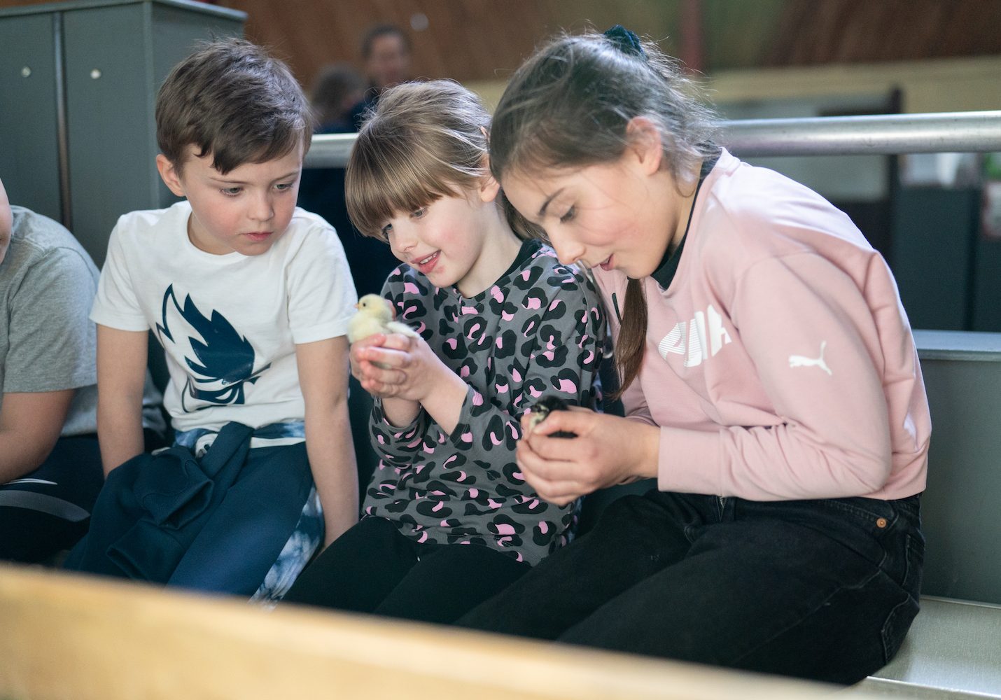 Children enjoying themselves at Adventure Valley
